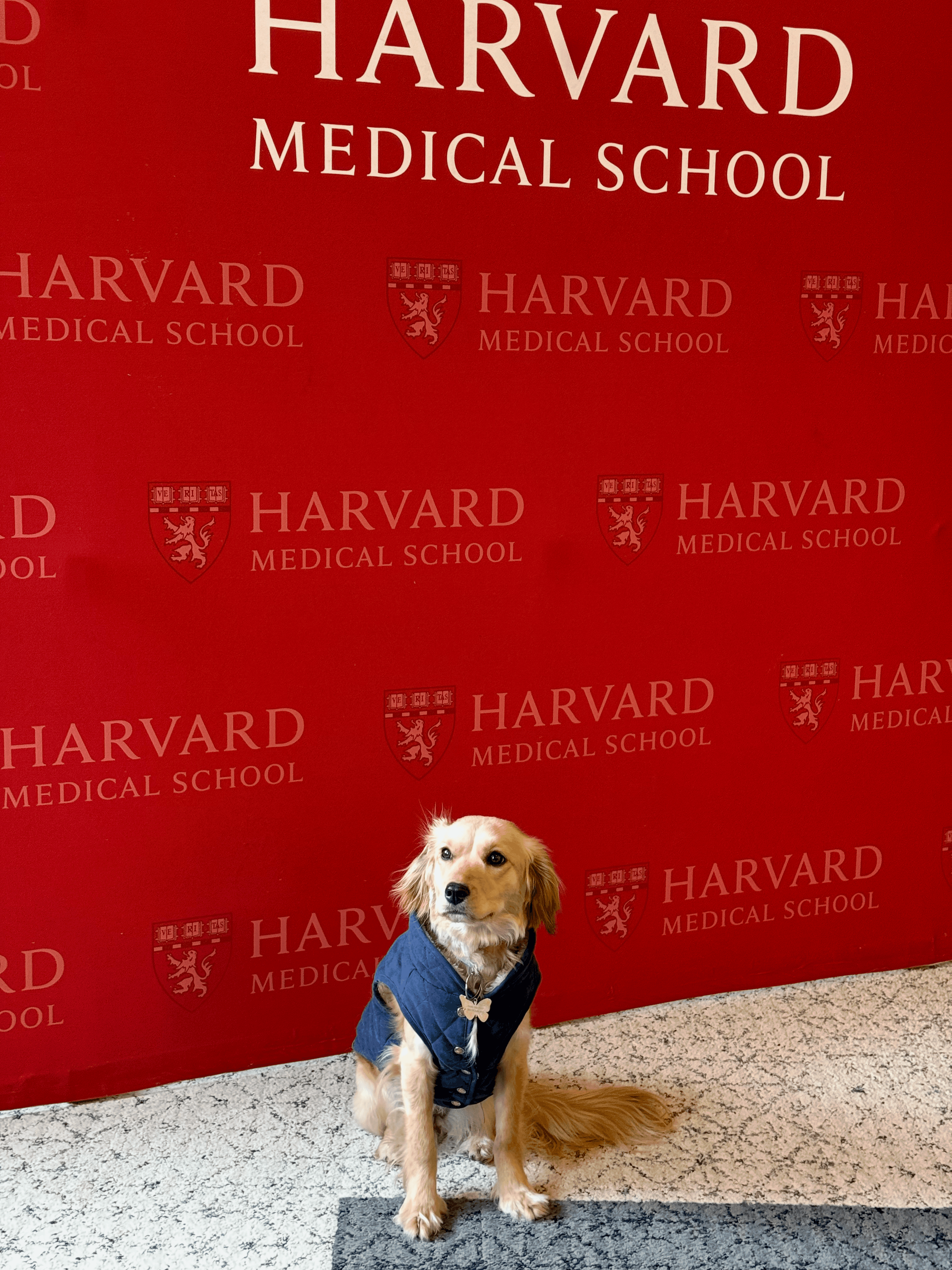 Odella at Harvard Medical School